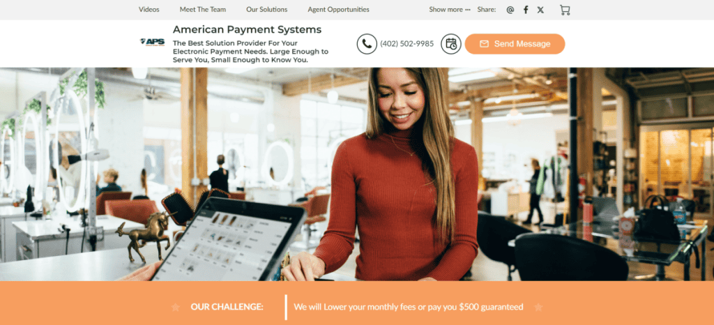 American Payment Systems Review