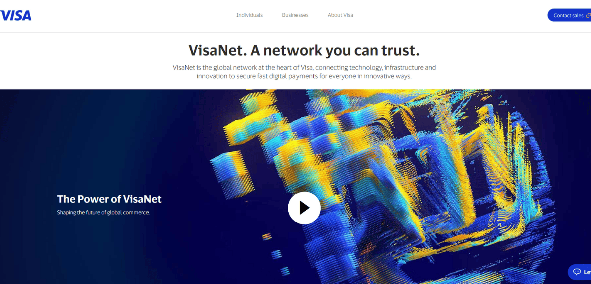 VisaNet Review